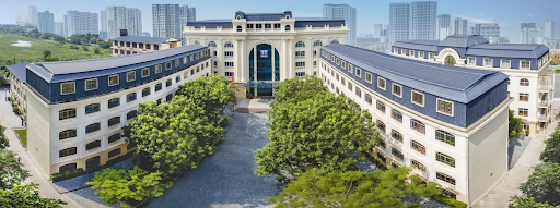 truong thi dau vao lop 6 5