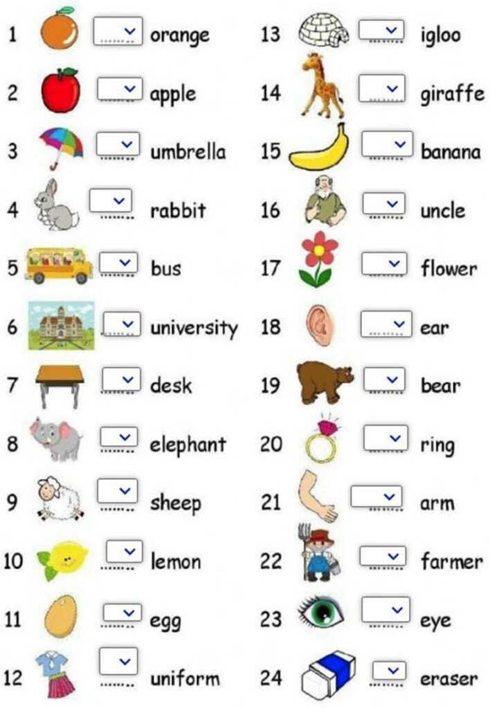Bài tập tiếng Anh cho trẻ 5 tuổi